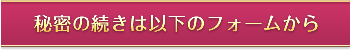 秘密の続きは以下のフォームから